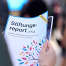 Stiftungsreport_2024_1